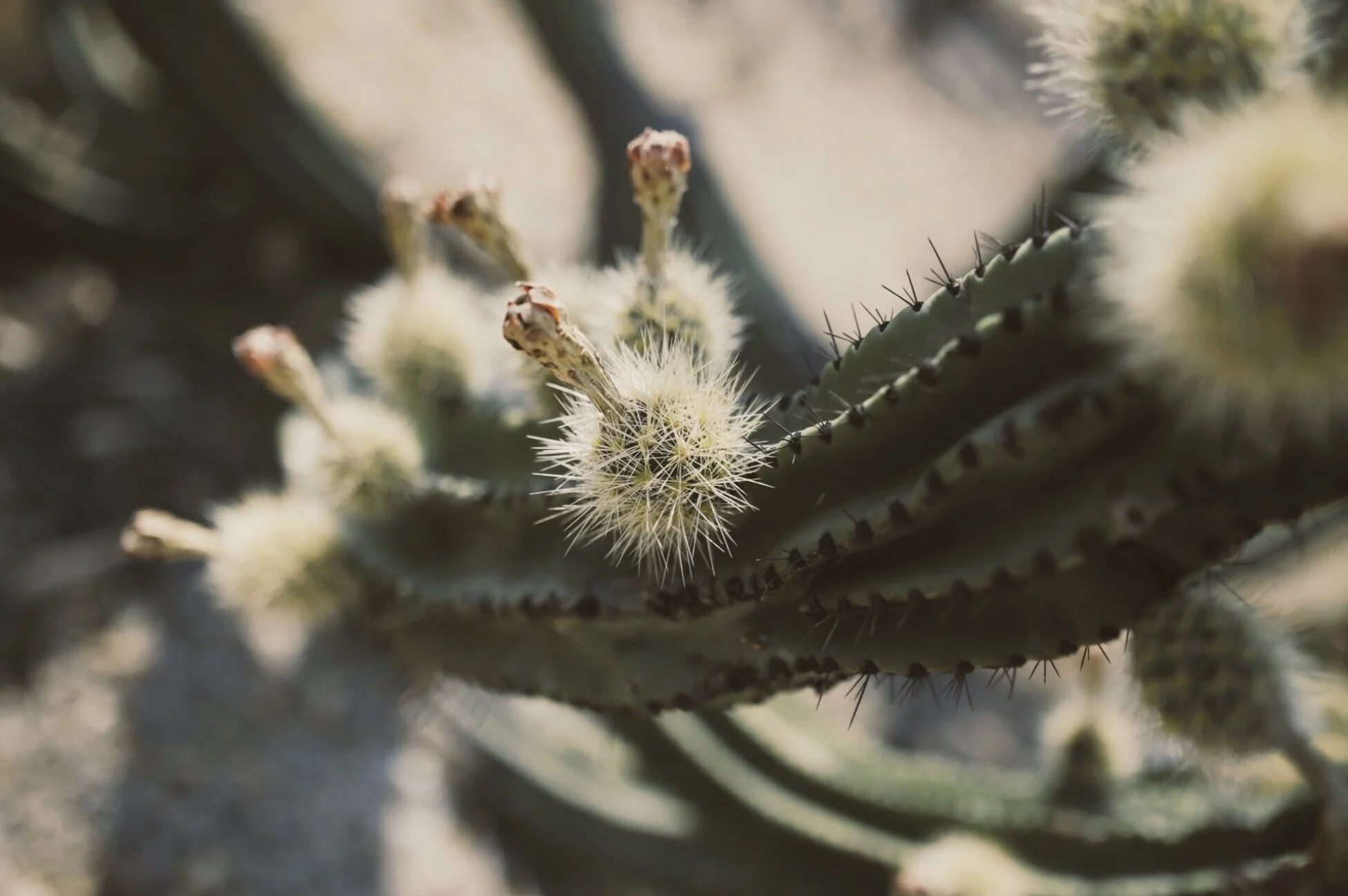 54619942-6DEE-4C46-9071-6C5D2267AF1F