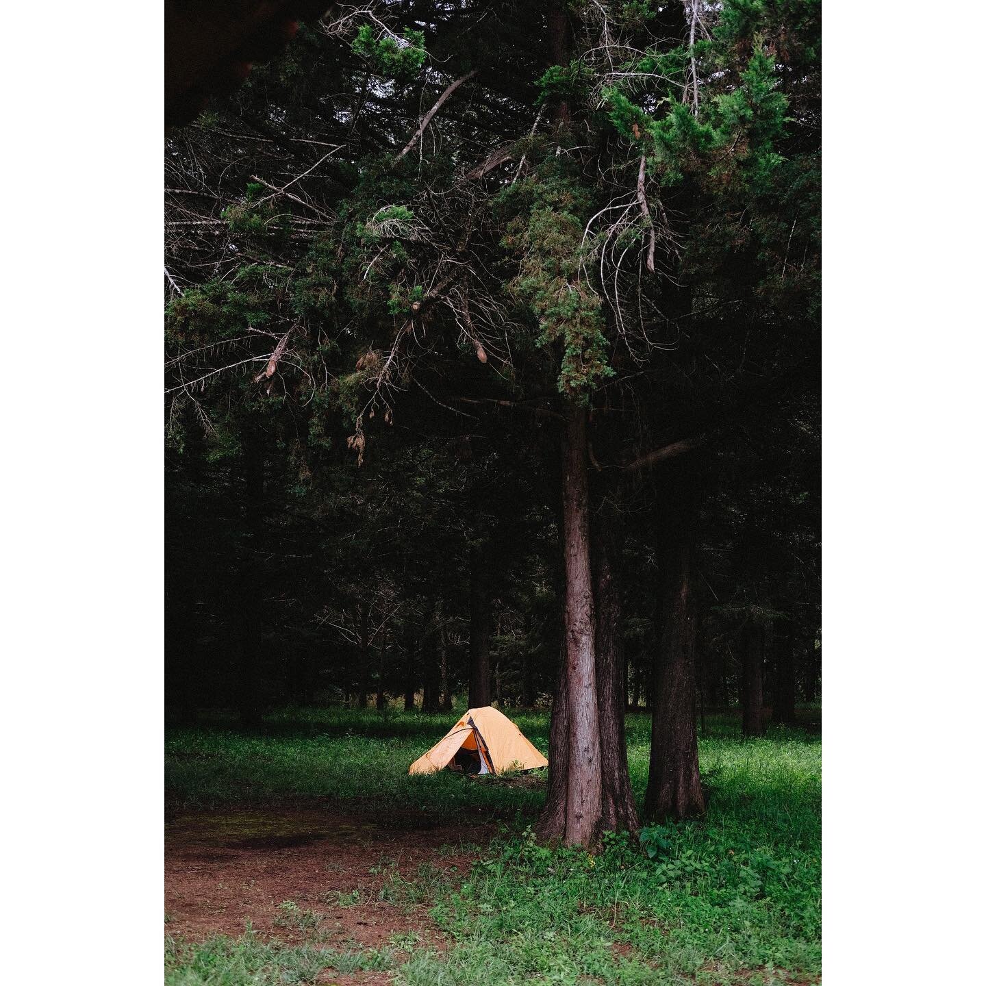 ⛺️🌲 Sierra de Quila
.
.
.
#wanderlust #camping #travel #travelphotography #fujifilm #fujiphotography #mexicomagico #visitmexico  #instanaturelovers #wanderers #naturallandscape #acampar #quila