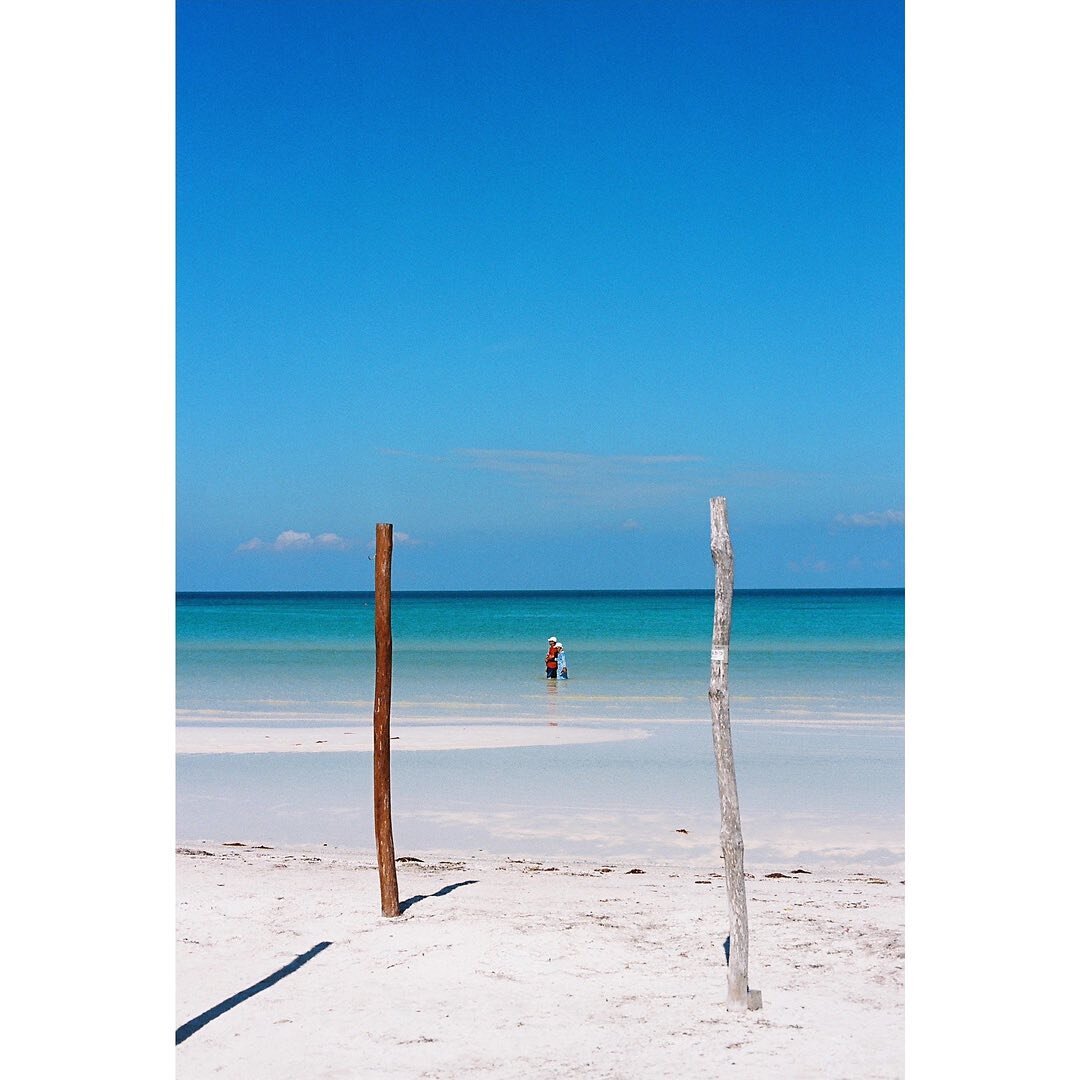 Turisteando
.
.
.
#filmisnotdead #minolta #35mm #numerique #pellicule #travelphotography #documentaryphotography #streetstorytelling #fotografasmexicanas #fotografaslatam #holbox #visitmexico #playasdemexico 
.
🎞️ @hilitoslab