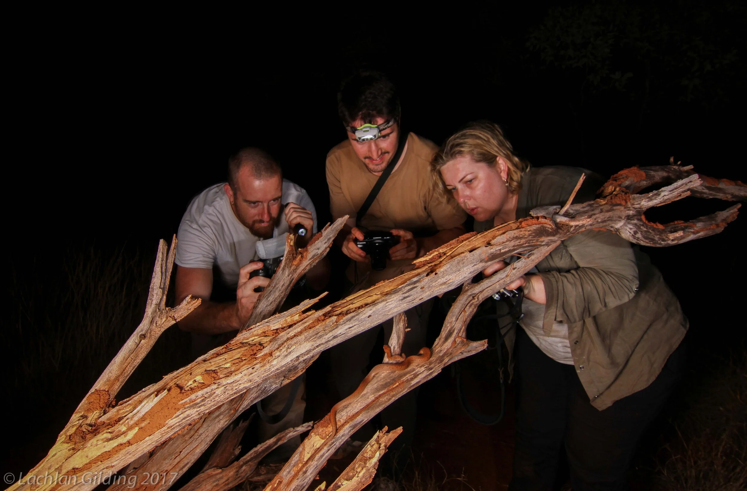 Some of our guests getting up close and personal with the worlds smallest Python species, the Pygmy Python!