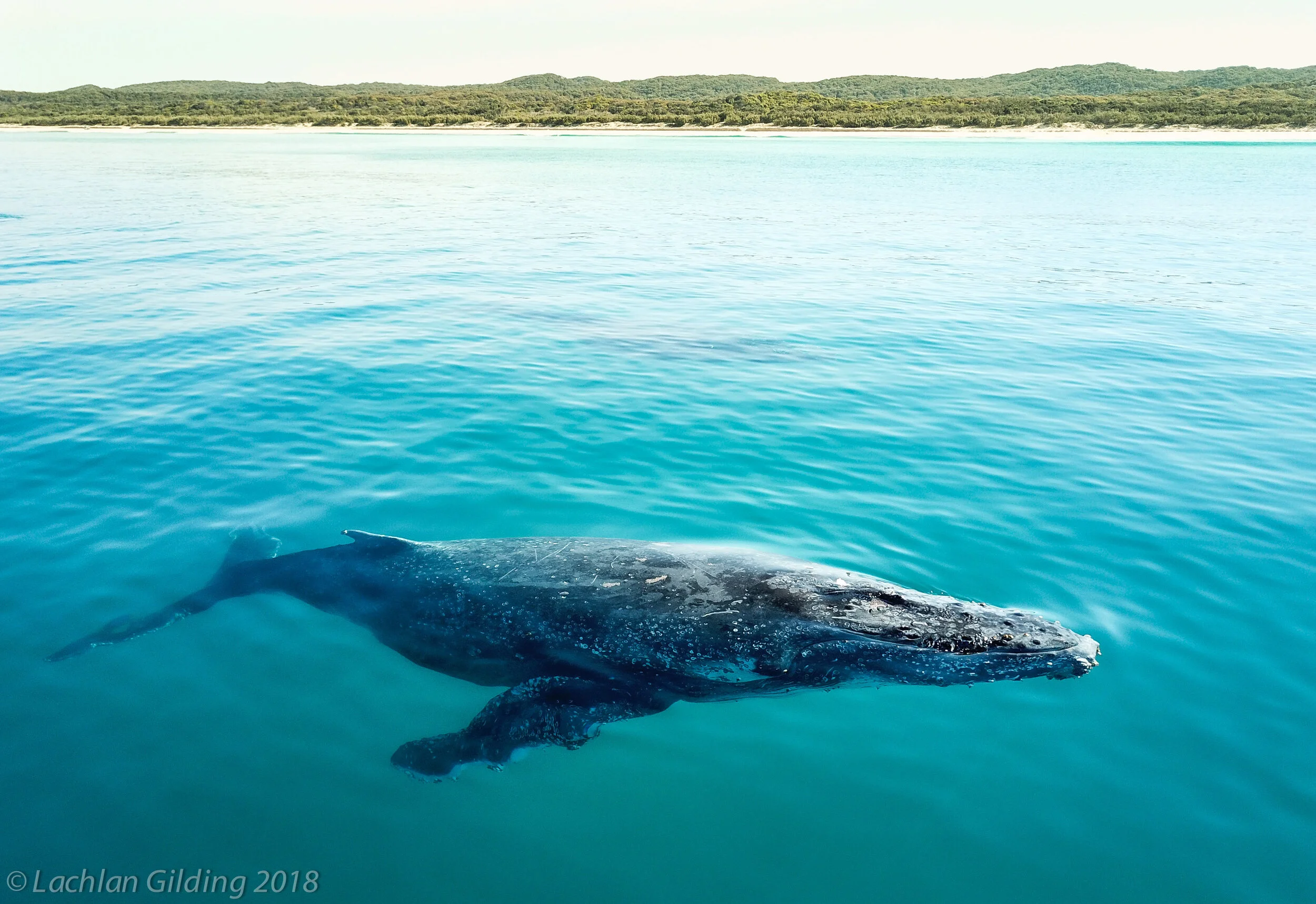 F1FEB2ABEB9CA57308F85574324DB22D copy 2-2.jpg