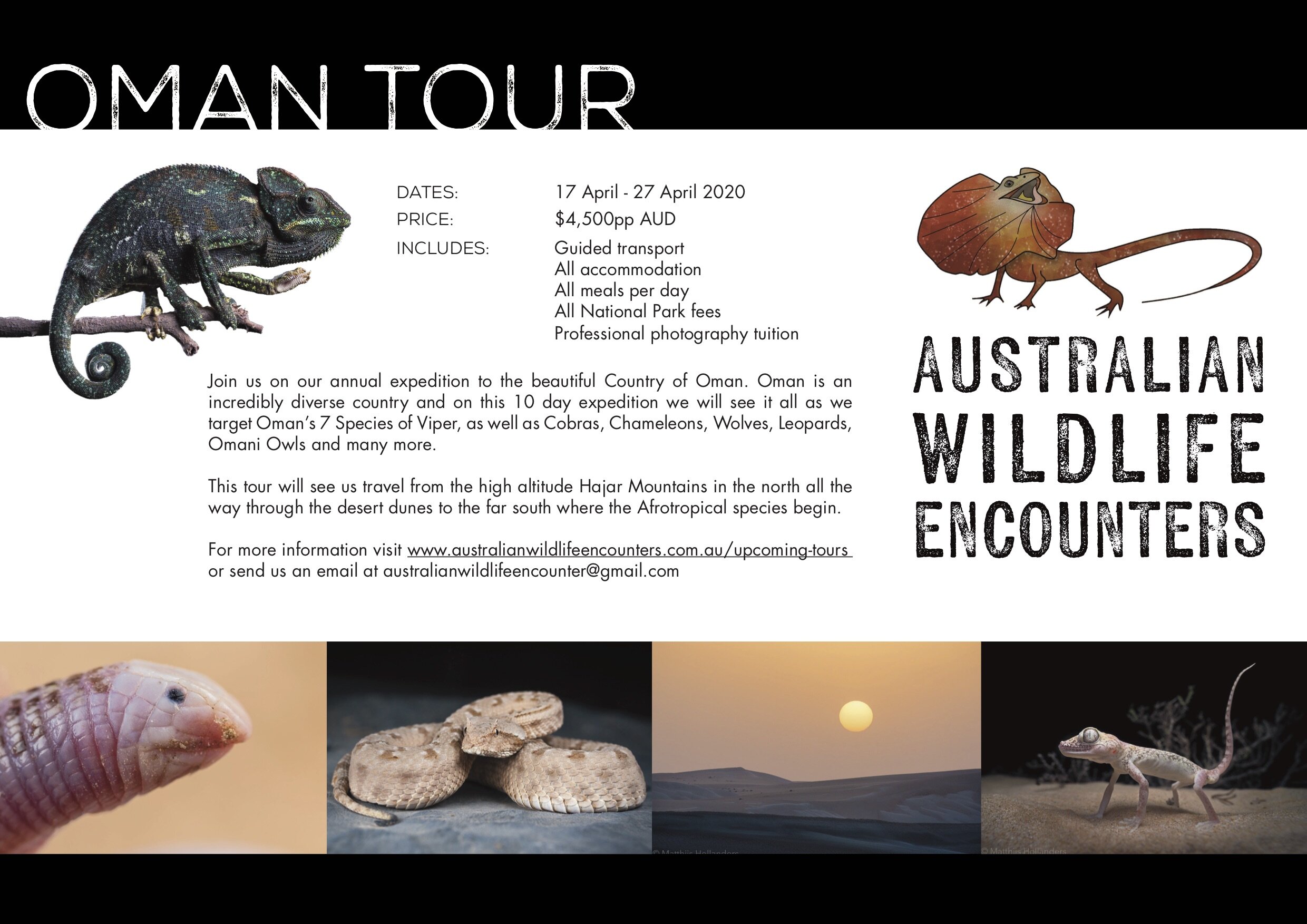 AWE_POSTER_01a copy.jpg