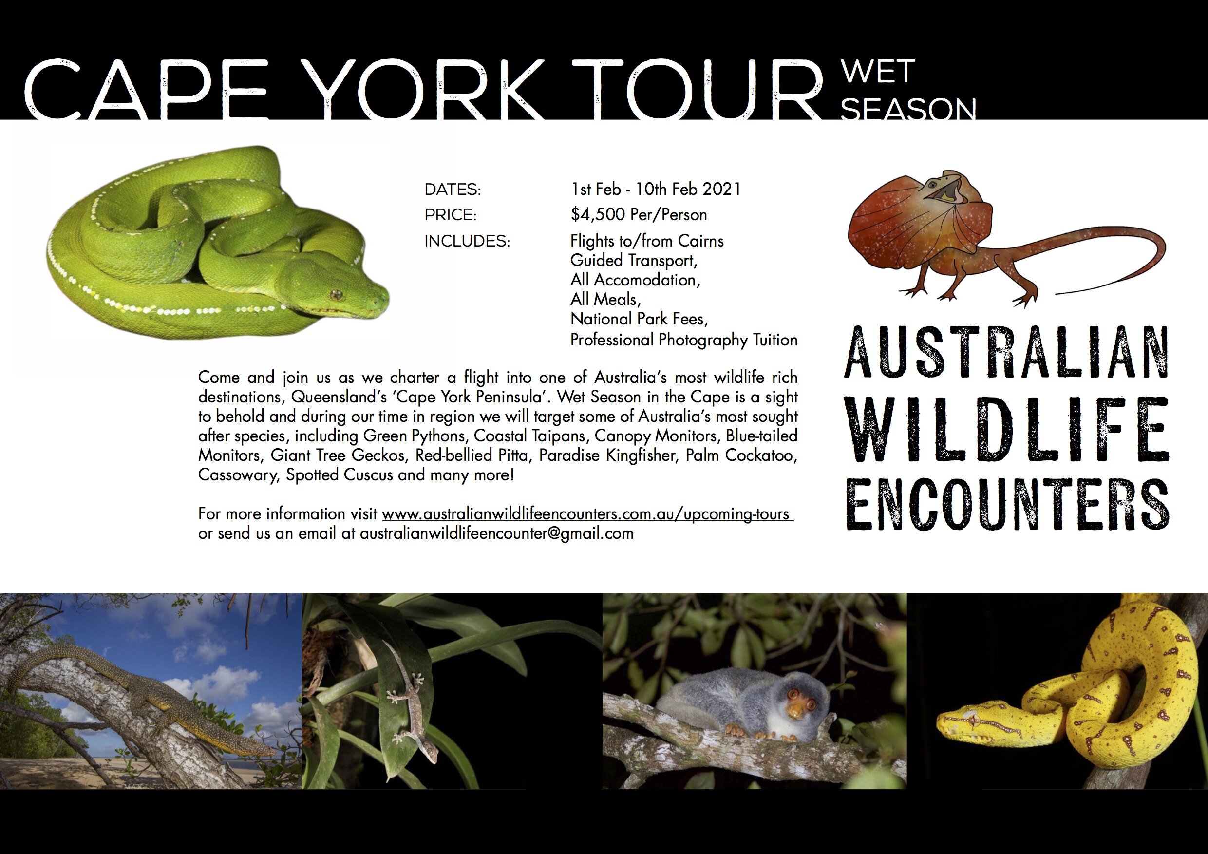 AWE_POSTER_01a(CapeYork).jpg