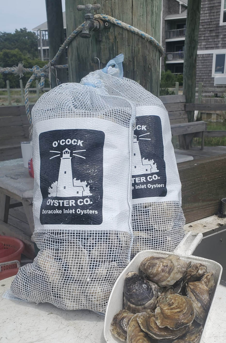 Screenshot 2025-06-19 at 5.48.16 PM.png