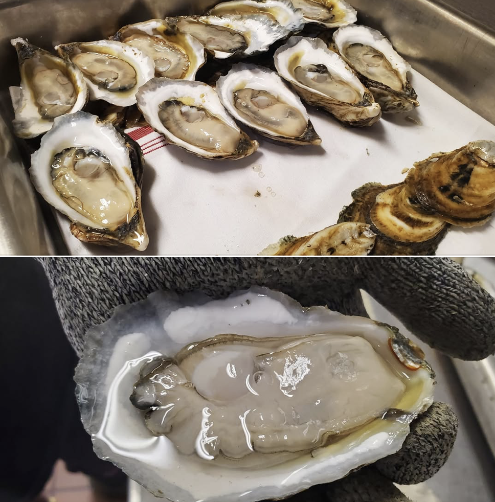 Screenshot 2025-06-19 at 5.48.43 PM.png