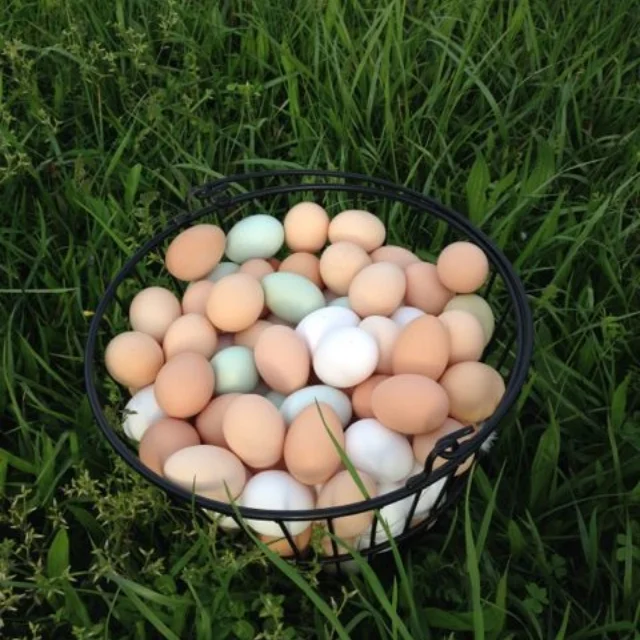 Fresh Pastured Eggs