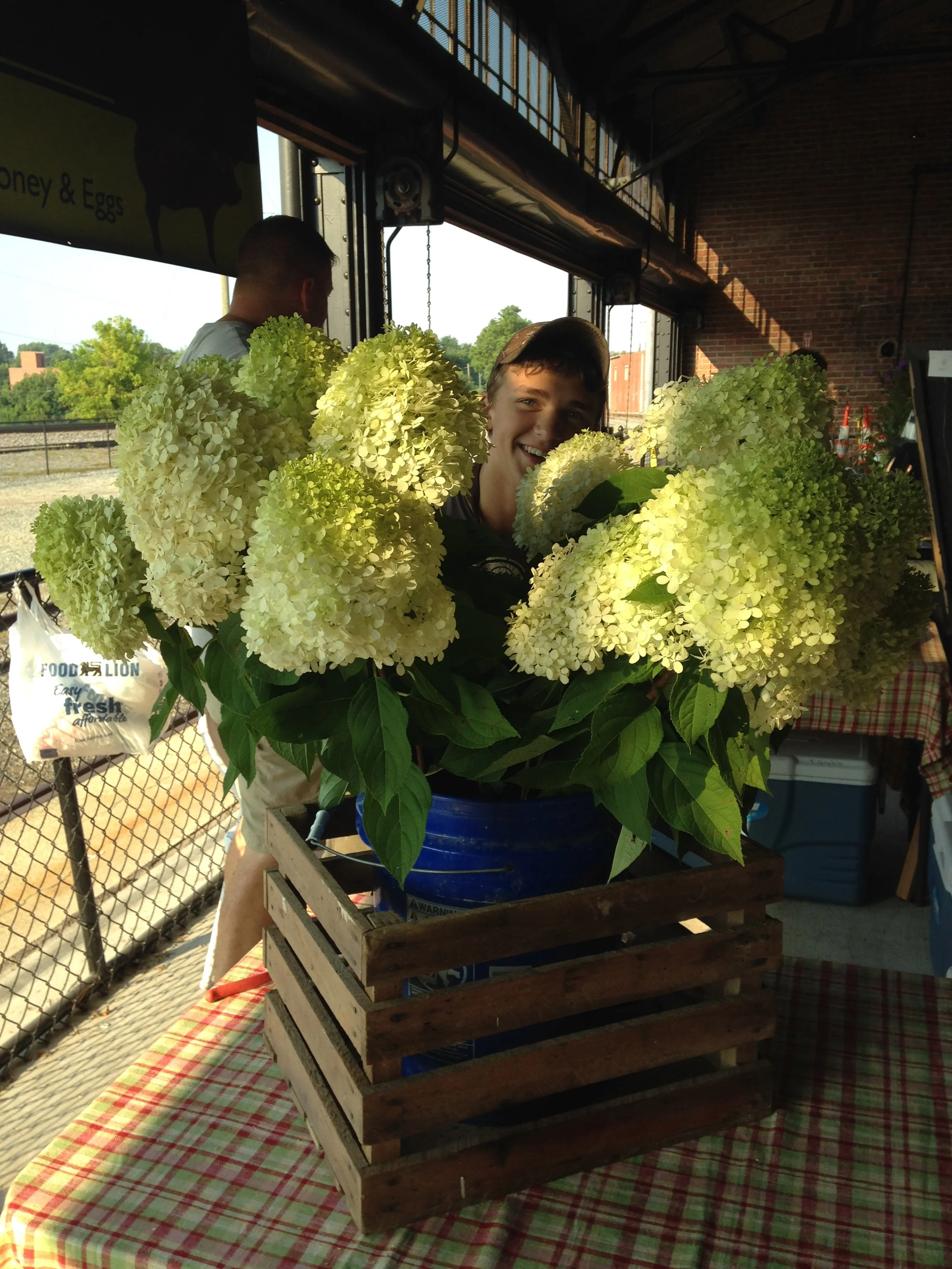 Saturdays at Lexington Farmers Market