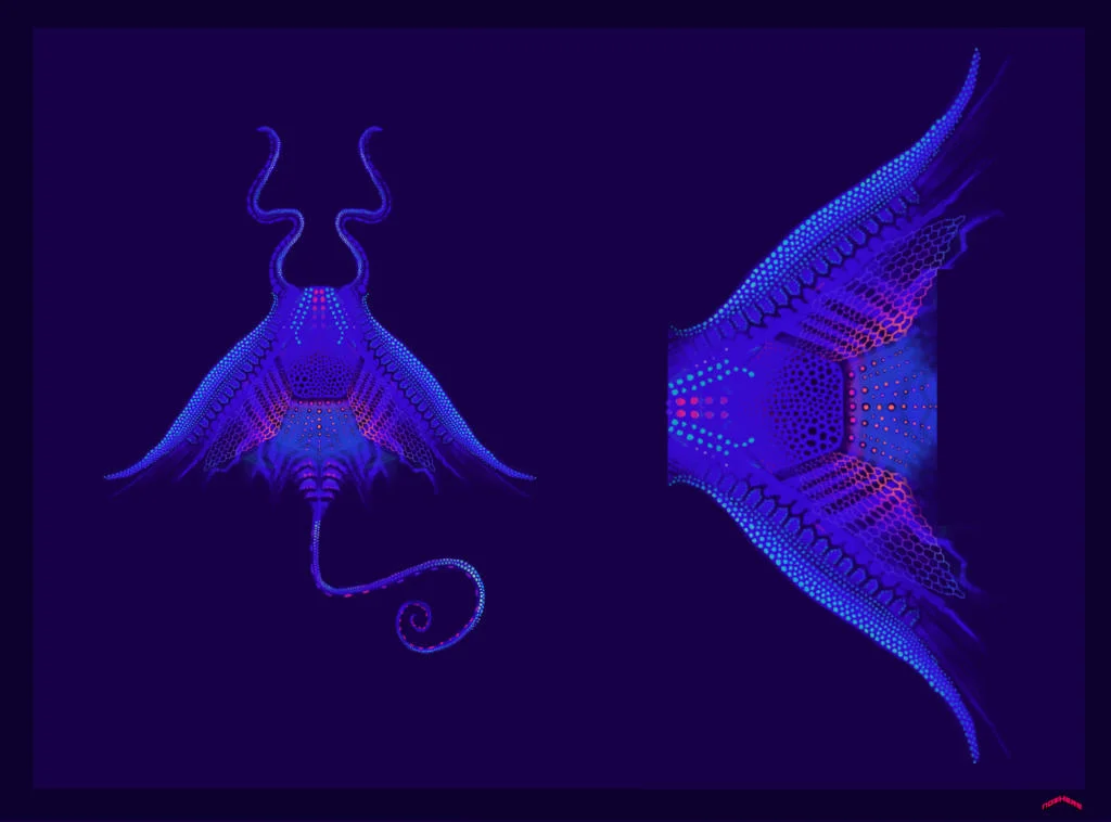 Nowherian Viewed From Above