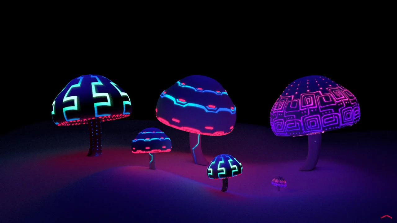 Mushrooms for Nowhere