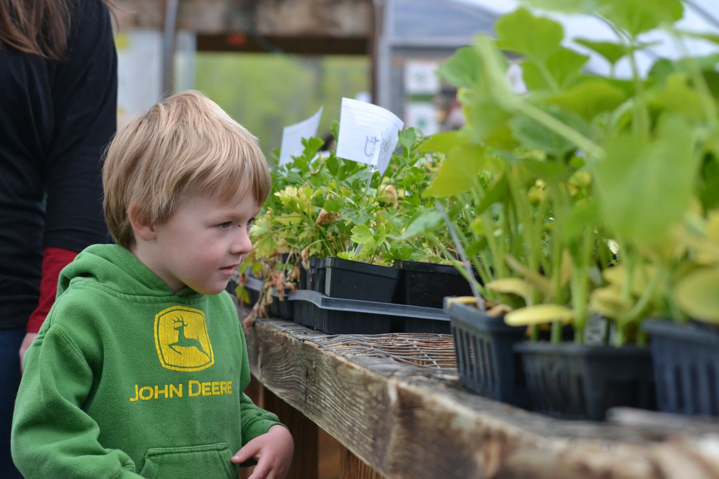 4-30-15 farm and field 1.JPG