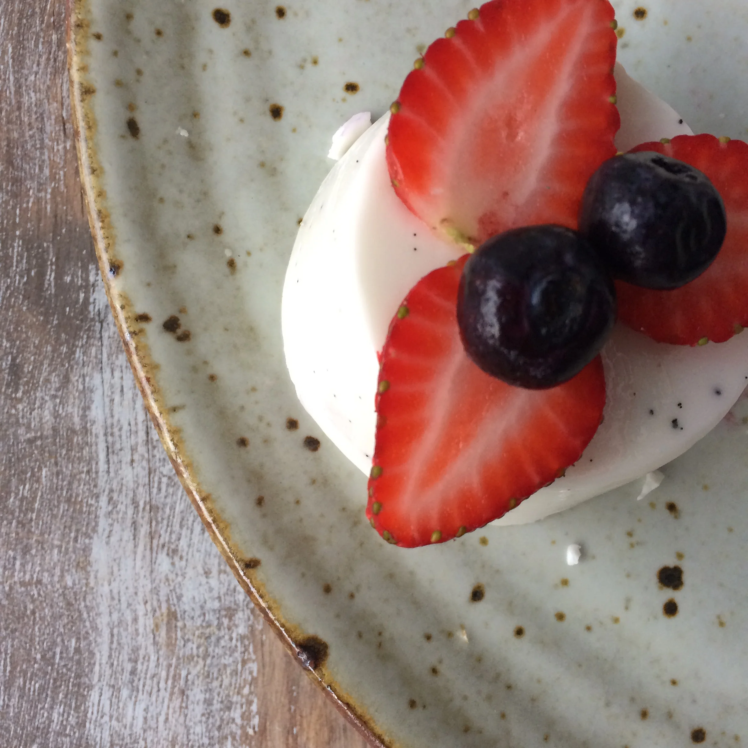 Coconut Yoghurt Panna Cotta — Cultured Baby