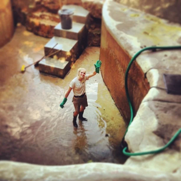 This is me cleaning the Polar/Grizzly pool for the VERY LAST TIME. After over NINETY years! I am honored to have been the last keeper to clean it.
I look like I am having fun, but seriously, this was terrible. Right before this picture was taken the hose split open on me and dosed me in green/algae/dead fish/meat/grizzly bear hair water. I then had to haul a brand new hose through all of the gates back to the pool and have someone help me to attach it so that I could finish the work as quickly as possible since it was almost 5 o'clock.
It was seriously a disaster. Can’t say I was too upset to say goodbye to that task!