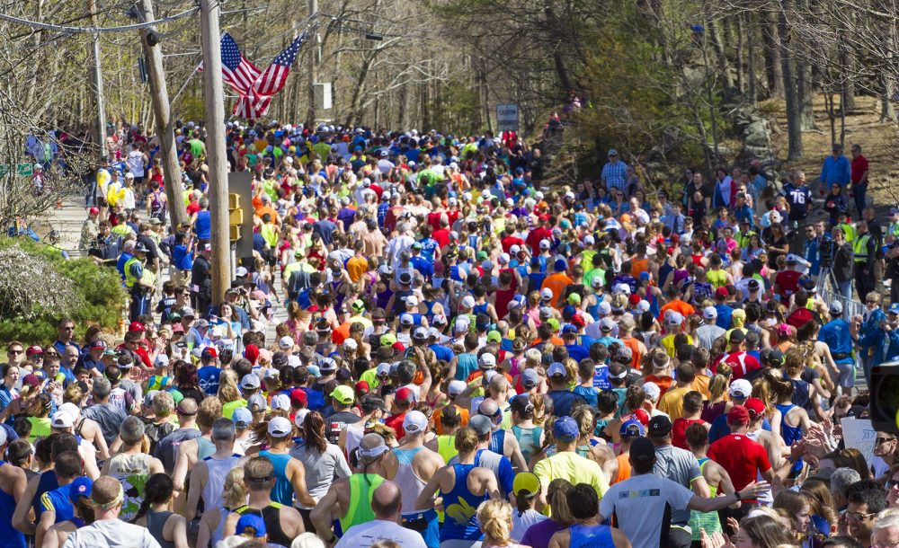 This is an actual photo of the start of the race. Mooooo! 