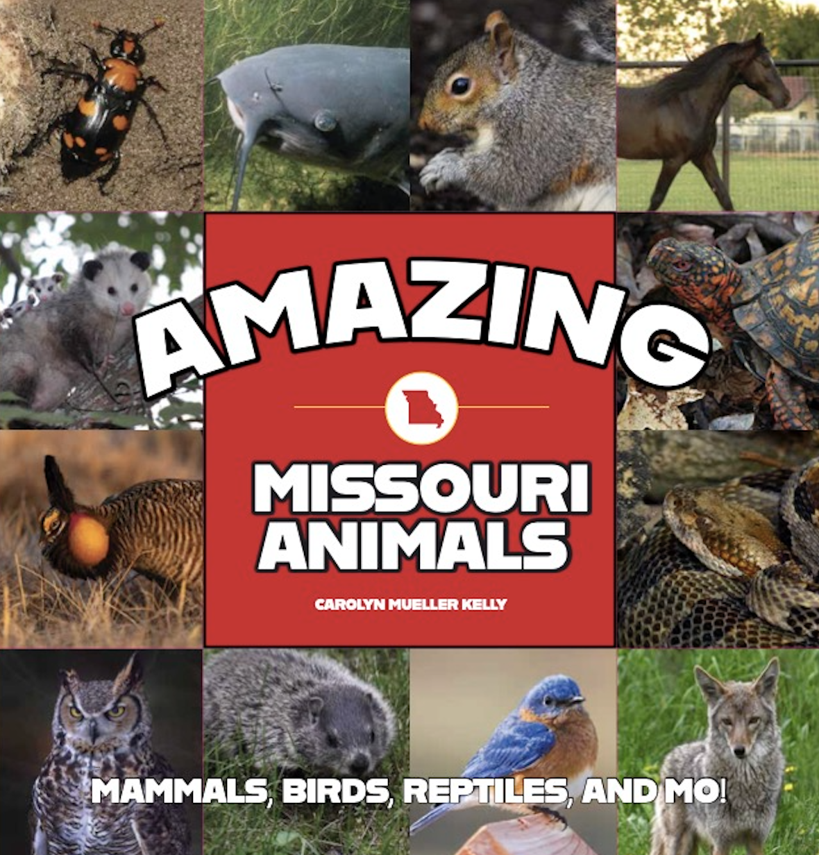 Screenshot 2026-01-06 at 2.27.38 PM.png