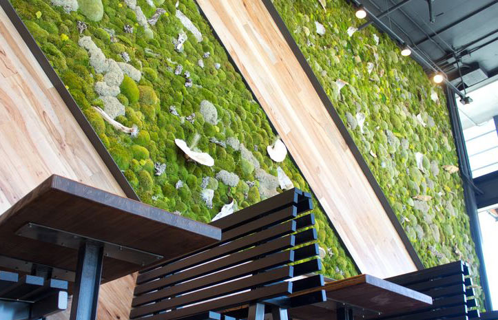 Shake Shack Wall | 2015