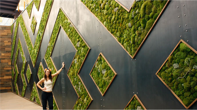 Whole Foods Living Moss Wall