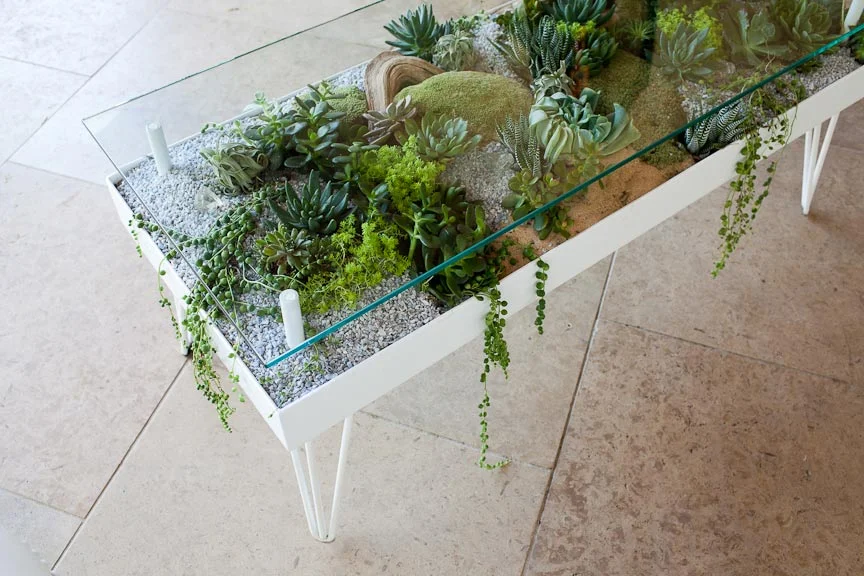 Modern botanical furniture design  Articulture Designs