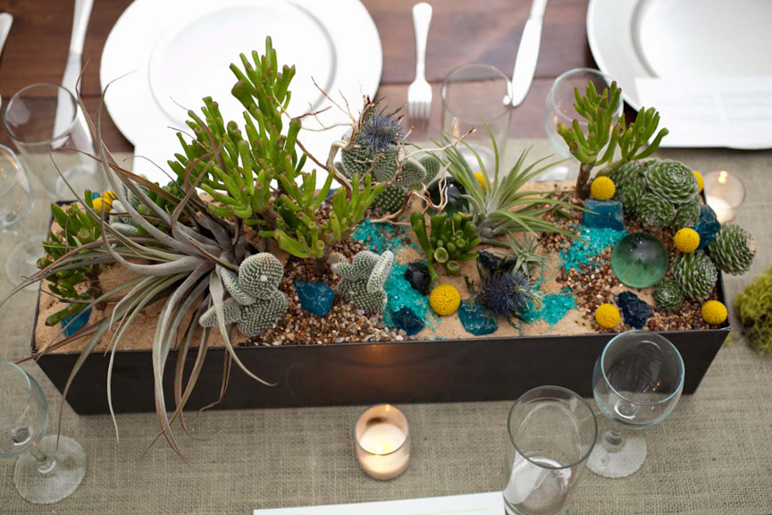 succulent centerpiece for green wedding in Austin, TX photo: Katherine O'Brien