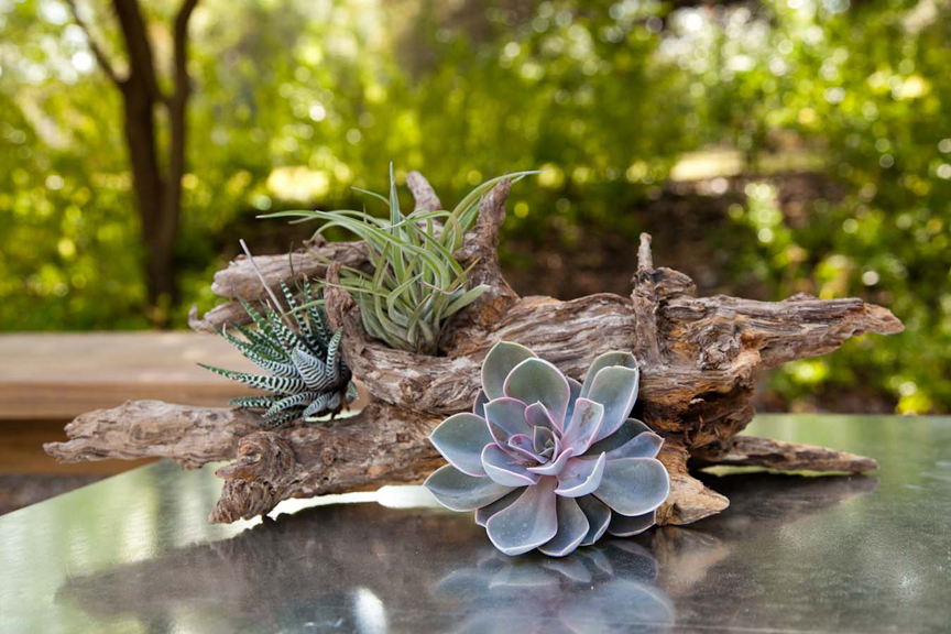 cocktail table centerpiece for green wedding in Austin, TX photo: Katherine O'Brien