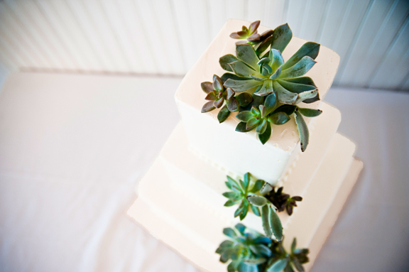 succulent wedding cake topper photo: Cory Ryan