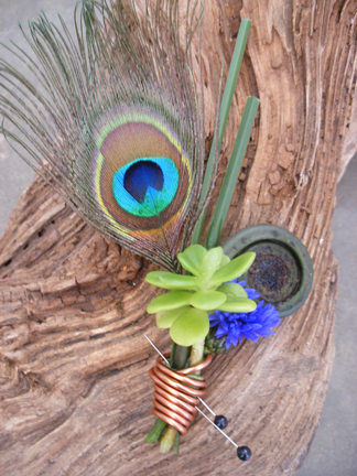 peacock boutonnier