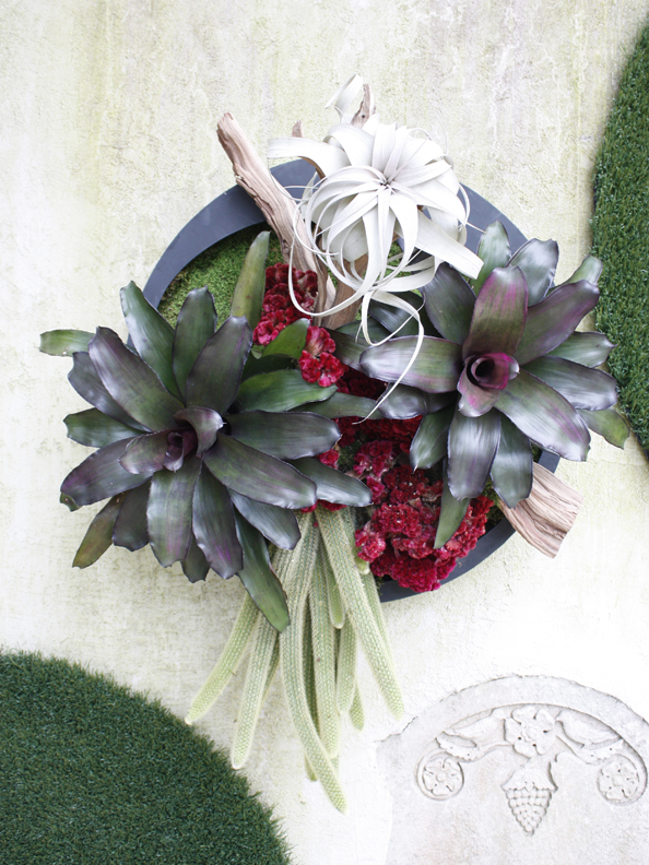 living wall in Houston, TX| 2013