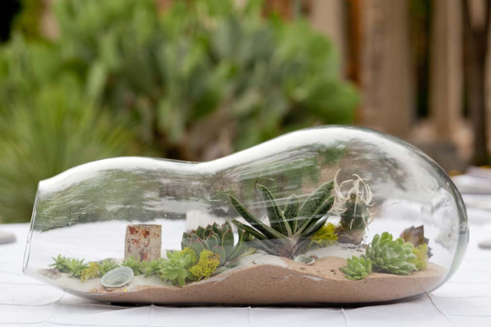 terrarium centerpiece photo: Stella Alesi