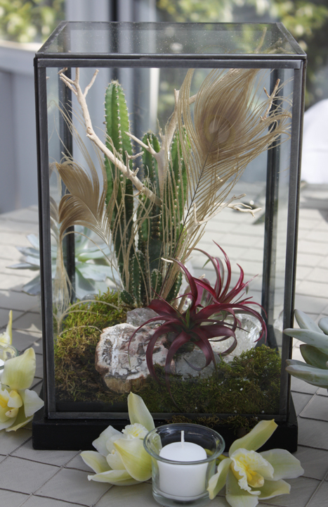 cactus and feather terrarium centerpiece | Texas Hill Country wedding