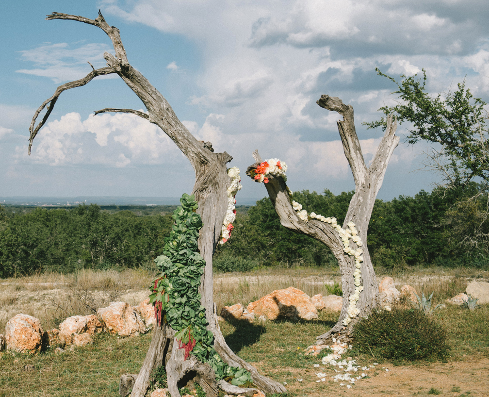 tree trunks come alive | Texas Hill Country wedding photo: Nathan Russell