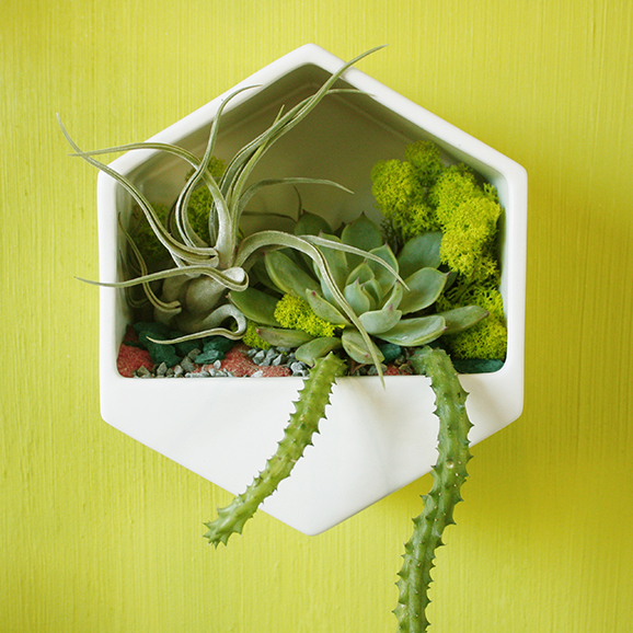 Example of fully planted wall planter. If you're in Austin, swing by the Articulture boutique for a selection of pre-made wall art pieces. 