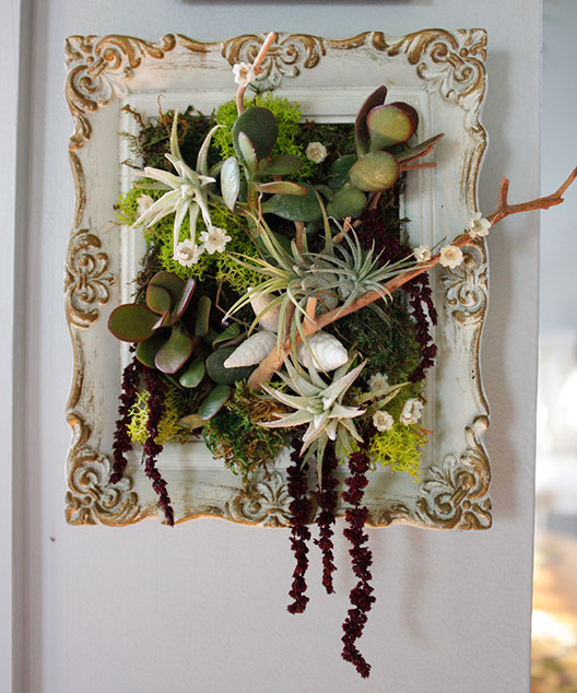 mini living wall | 6" x 7"