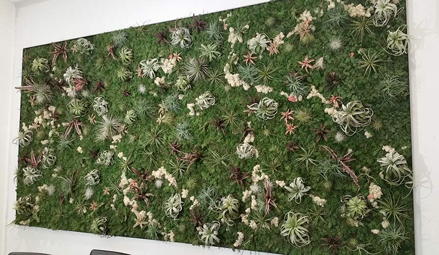living wall in Enviromedica offices | Austin, TX | 2015