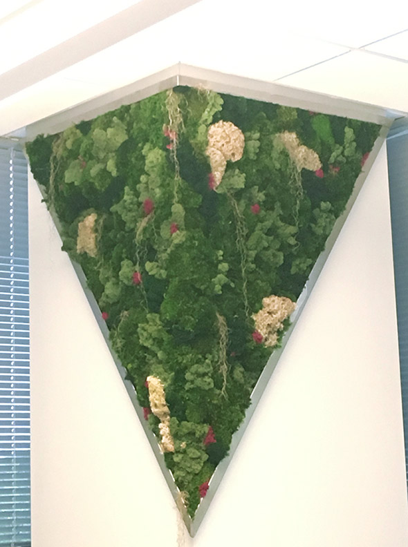 Impossible Ventures corner living wall