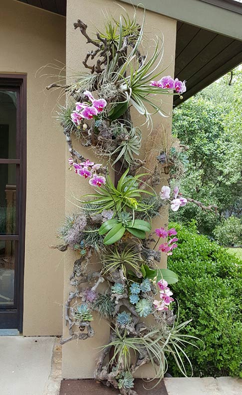 plant pillar