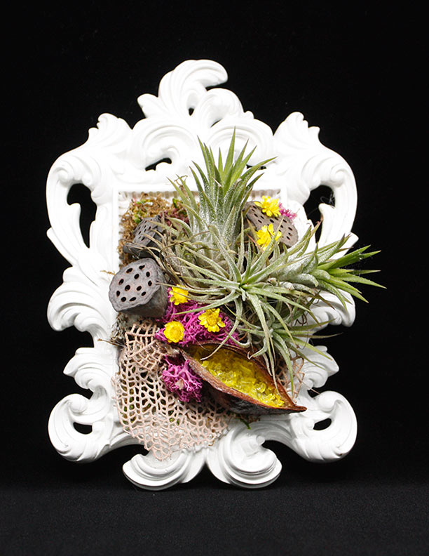 tiny living wall | 5.5"x7"