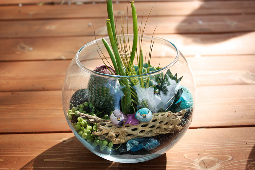 finished-terrarium.jpg