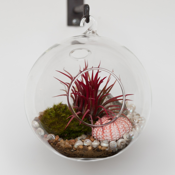 Hanging-Aerium-Deluxe-Orb-web.jpg