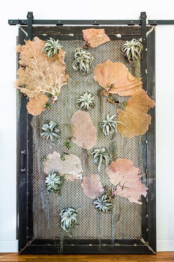 sliding tillandia door photo by: Twin Lens Weddings