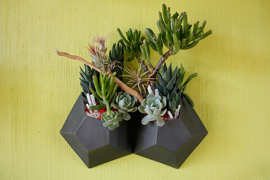 hexagon-wall-planter-double-planted-web.jpg