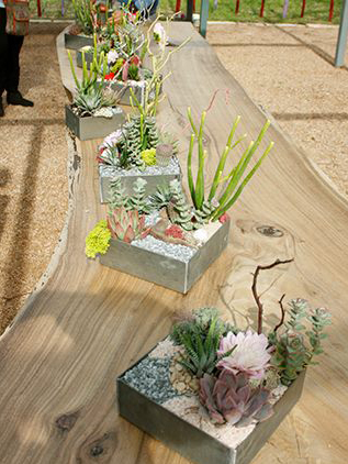 Make a Modern Succulent Arrangement