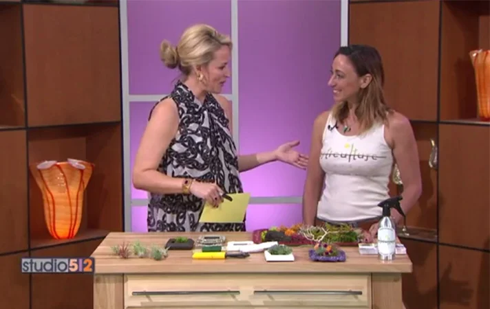KXAN "Studio 512" (watch video) KXAN's Amanda Tatom invites Monique to demonstrate how to make a signature Articulture mini-living-wall. And thanks Amanda for the super kind words: "Articulture takes house plants to a whole new -- and very cool -- level." 