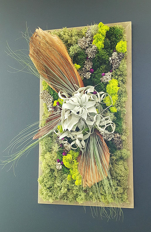 thin-frame-living-wall-web.jpg