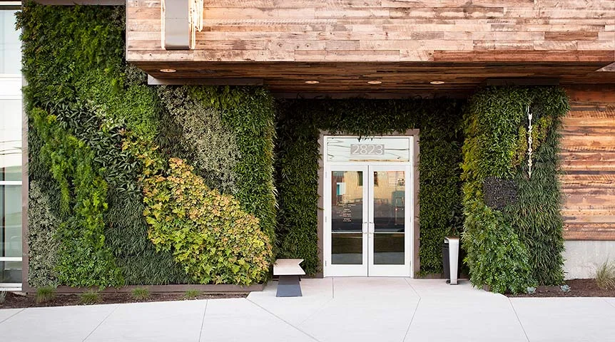  exterior irrigated living wall, Austin, TX &nbsp;| &nbsp;2016 &nbsp;| &nbsp; Photo by Ryann Ford  