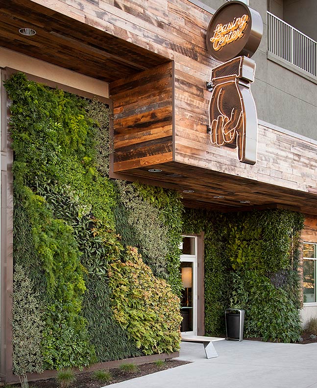 exterior irrigated living wall, Austin, TX | 2016 | Photo by Ryann Ford