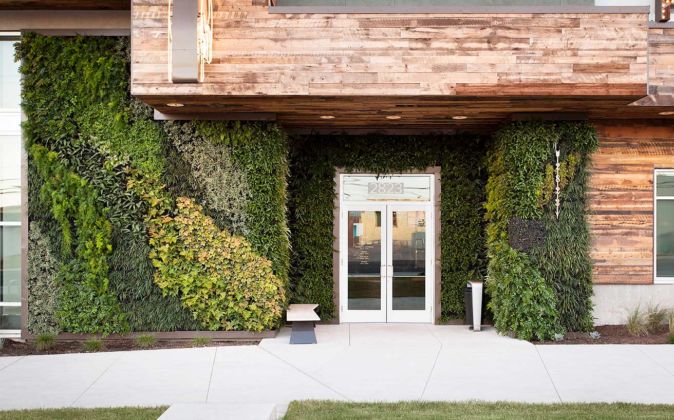 exterior irrigated living wall, Austin, TX | 2016 | Photo by Ryann Ford