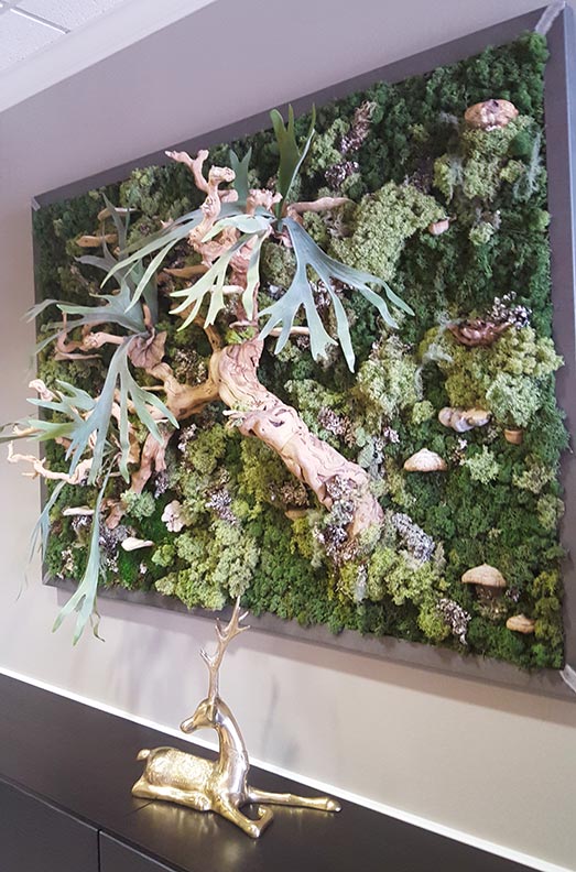 Moss Art Frame with Preserved Plants & Driftwood