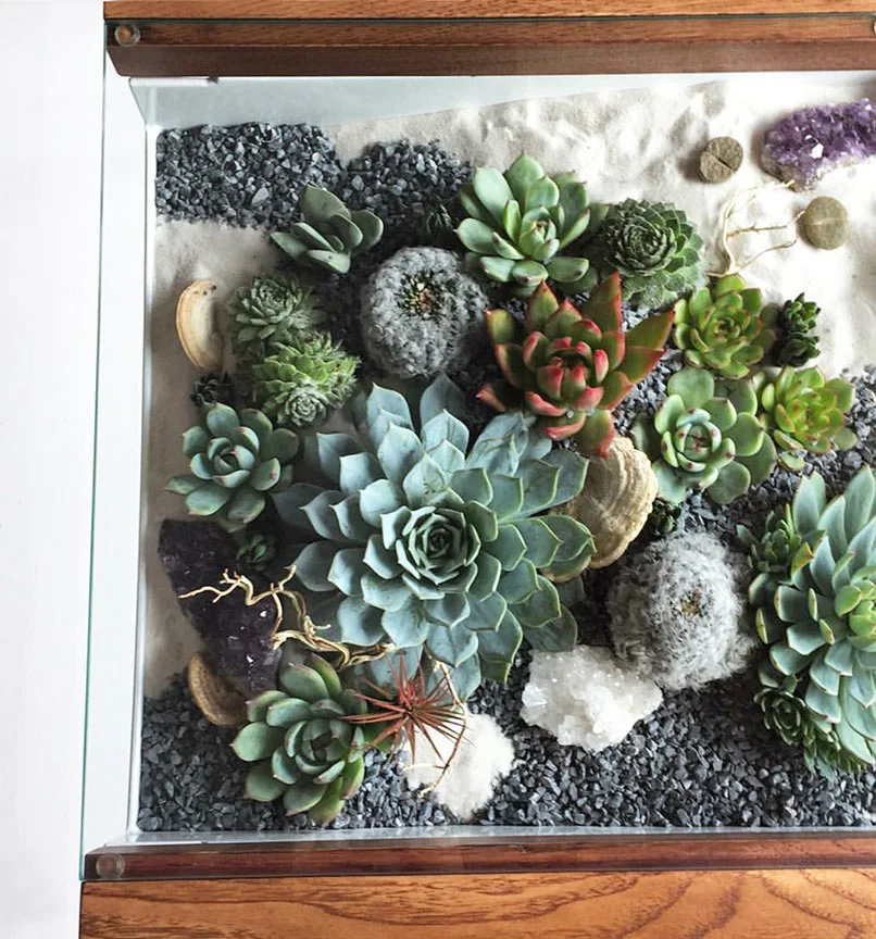 Dining table | Living Furniture | Steel, wood, succulents, cacti