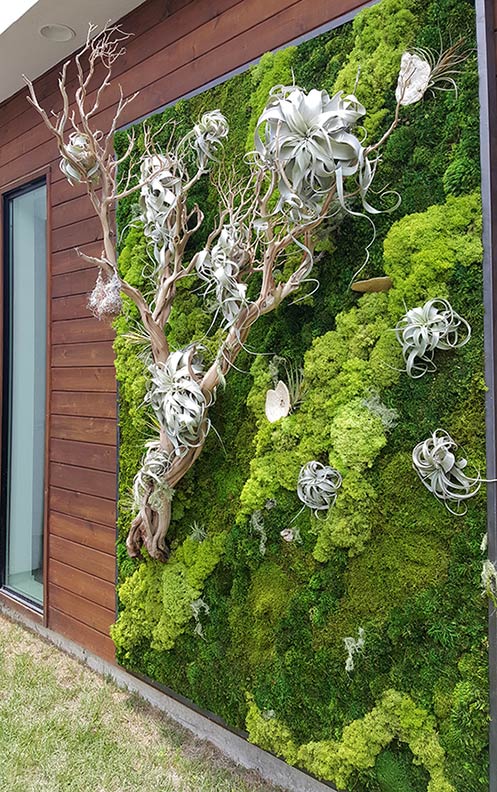 exterior residential wall | air plants, sandblasted wood, preserved moss, steel