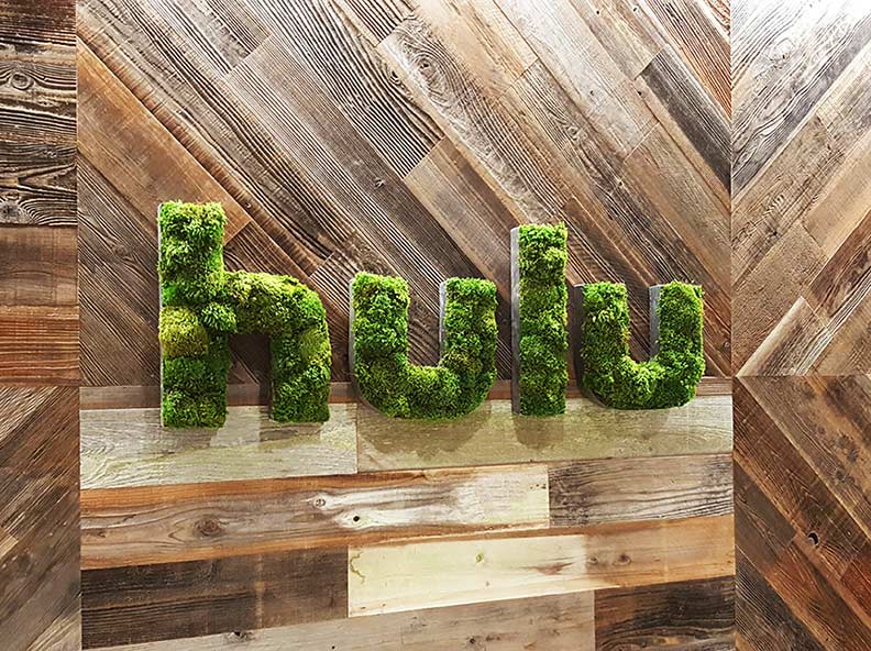 moss wall logo in Hulu's San Antonio offices