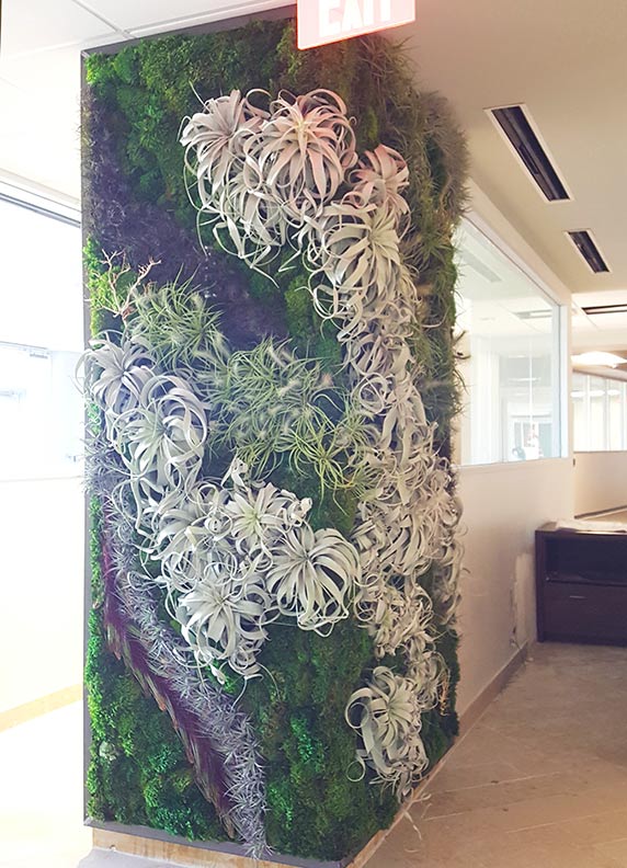 corner wrap-around living wall in AffiniPay offices